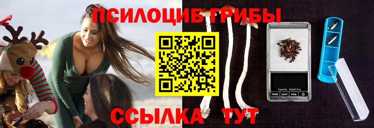 Галлюциногенные грибы GOLDEN TEACHER  Галлюциногенные грибы Cubensis  Усть-Илимск  где найти   Вход с VPN 