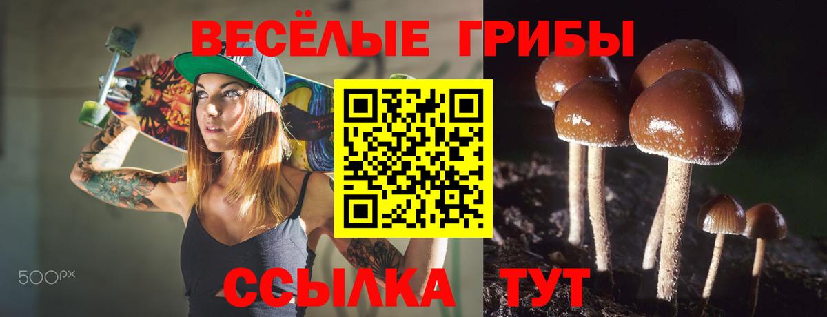 Галлюциногенные грибы Magic Shrooms Усть-Илимск